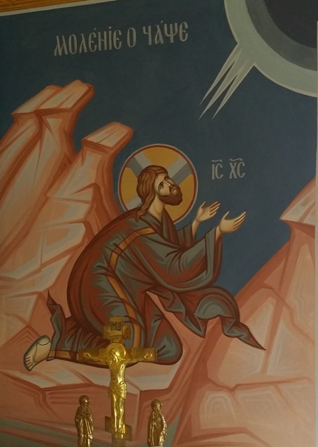 20150615_132808 1.jpg